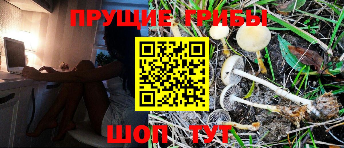 Псилоцибиновые грибы GOLDEN TEACHER Югорск