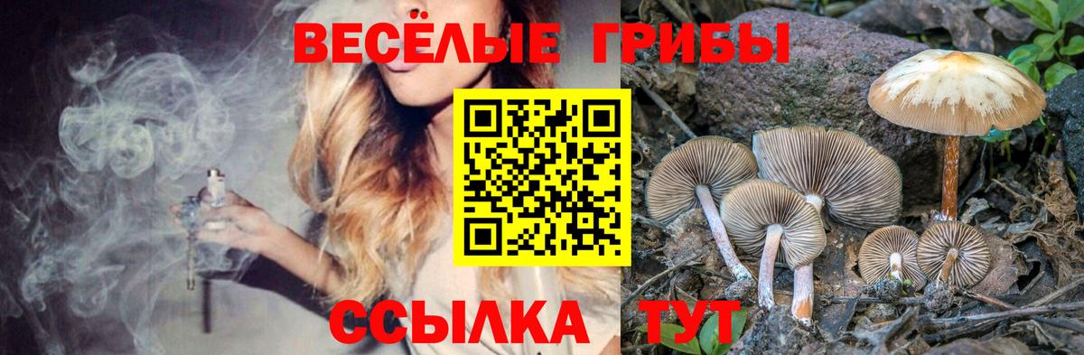 Югорск  Псилоцибиновые грибы Psilocybine cubensis  Вход с VPN 